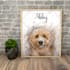 draw your pet into vector and watercolor illustration
