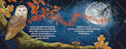 create beautiful book illustrations or children book cover