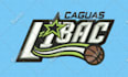 do prefect and nice small letter embroidery digitizing