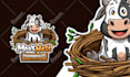 create animals cartoon character illustration design