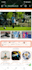 update,changes wordpress or edit wordpress website quickly or customization