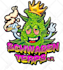 design cannabis, weed mascot or cartoon illustration logo