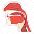 create anatomy, medical, and scientific illustrations