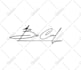 design  artistic signature logo and handwritten autograph