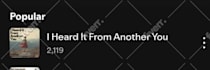 do spotify music promotion through ads campaign