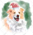 draw pet portrait illustration watercolor style