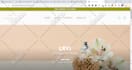 build shopify website and shopify store