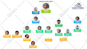 make modern org chart, organogram or organizational structure