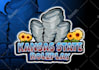 do fivem roleplay logo design and server banner for  discord