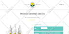 design and develop website