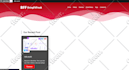 develop a wordpress business website or portfolio website