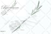 design candle care card, warning label and candle labels
