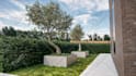 design your 3d garden, backyard ,terrace,realistic landscape