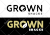 create a modern company logo and branding