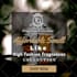 create wordpress website for affiliate marketing niche