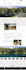 design or develop responsive webflow website, figma to webflow, webflow expert