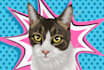 draw custom pet portrait in pop art style