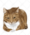 do vector illustration dog cat animal pet cartoon portrait
