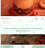 transfer or clone wordpress website