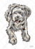draw funny pet mascot character