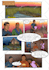 draw your comic book pages and illustrations