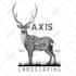 create amazing animal logo with illustration handdrawn style