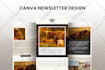 design professional mailchimp email template newsletter