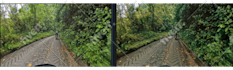 do video color correction, color grading,professionally