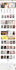 build shopify dropshipping store shopify website