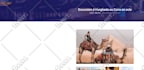 do full website SEO optimization by onpage and offpage for top website ranking