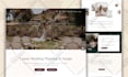 design a high converting wix website and wix website redesign