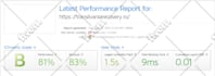 speed up and optimize wordpress website permanently