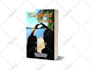 design a perfect book, ebook cover and album cover