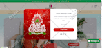 build an automated dropshipping shopify store or shopify website
