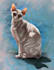 create an elegant custom pet portrait from your photo