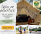 design eye catching social media posts and banners
