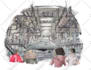 design original illustration for books