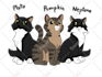 draw your pets with my cute cartoon style
