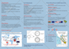 design dental medical flyer brochure