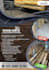 design professional digital flyer within one day