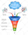 design scientific illustration, figures, diagrams and graphical abstracts