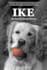 do ebook formatting and conversion from PDF, word, indesign into epub and kindle