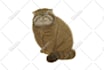 create character design, animal character, cartoons