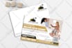 design eddm business mailer or postcard flyer and business fliers