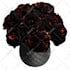 create 3d plants in speedtree