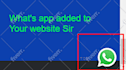 build professional wordpress website design ecommerce website for your business