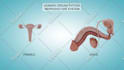 create a great 3d medical animation video