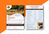 create beautiful a3 a4 a5 a6 flyers and posters design