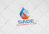 create a professional business logo design