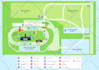 design vector maps, event maps, fantasy festival maps